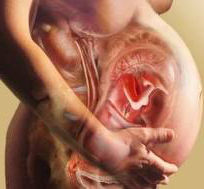 Тому запор при вагітності - прикра і животрепетна тема