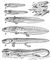 Вимерлі земноводні: 1 - Eogyrinus;  2 - Eryops;  3 - Gerrothorax;  4 - Seymouria;  5 - Metoposaurus;  6 - Ophiderpeton;  7 - Diplocaulus;  8 - Cardiocephalus