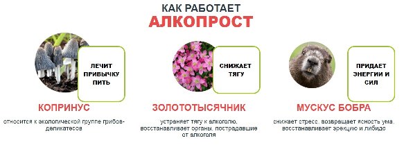 Секрет препарату АЛКОПРОМ криється в його унікальному складі, основу якого складають рідкісні рослинні компоненти і біологічно активні природні речовини