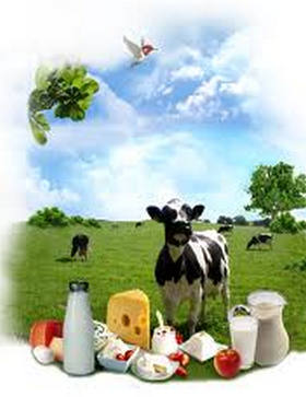 Сироватка молочна - побічний продукт виробництва сиру або сиру