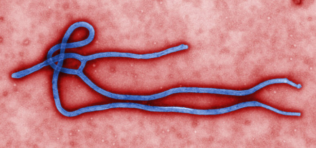 LG   намагається допомогти   в боротьбі з вірусом Ебола