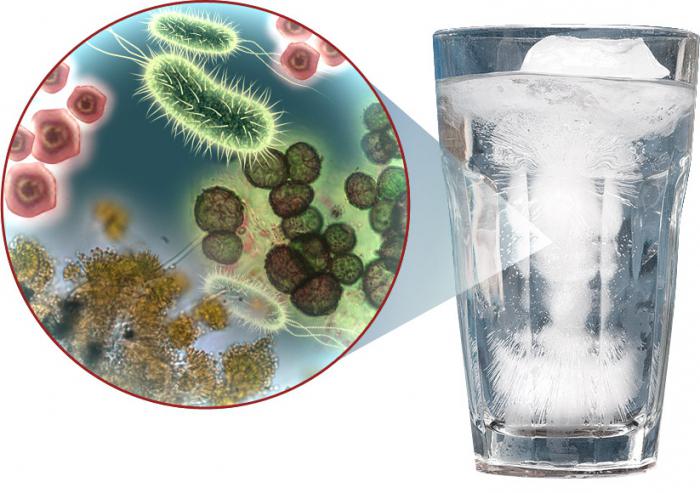 Очищення води від бактерій і вірусів