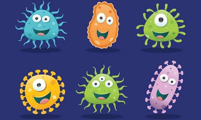 Однак не всі віруси шкідливі: деякі борються з небезпечними бактеріями і допомагають нашому організму функціонувати